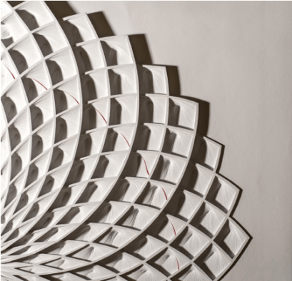 Graptoveria II by Jacky Cheng